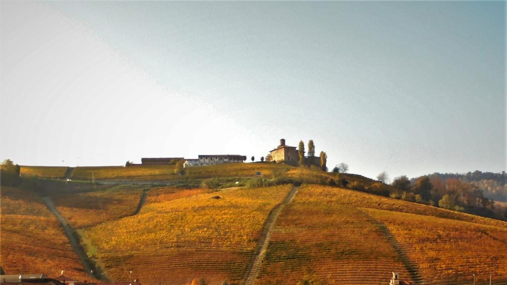Agriturismo La Terrazza Sul Bosco Barolo Exterior foto